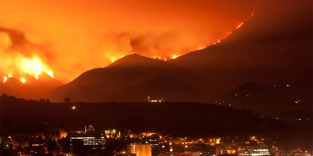 LA water chief Palisades Fire