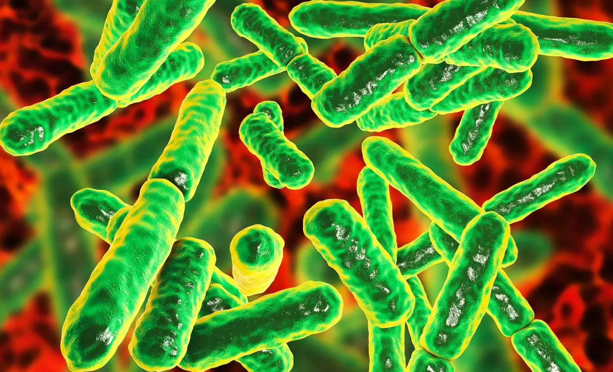 new bacteria in space 