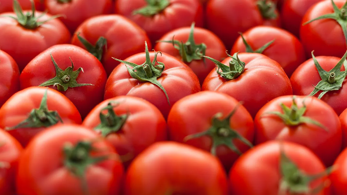 Vine-Ripe Tomatoes Recall 