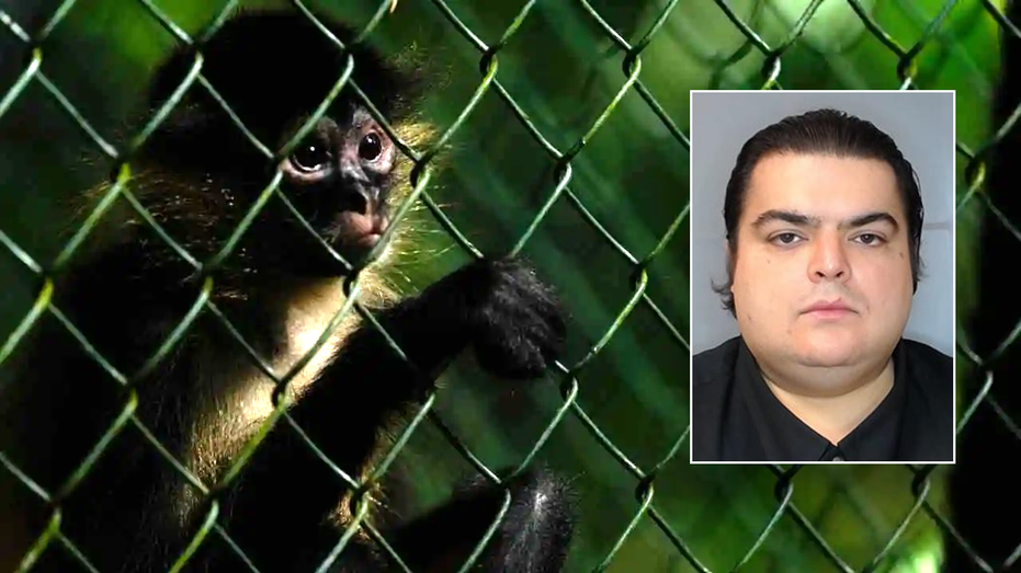 Florida man monkey torture case