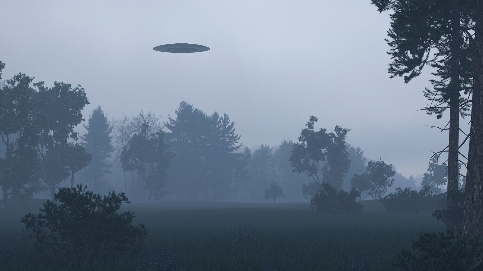 UFO Alien Species