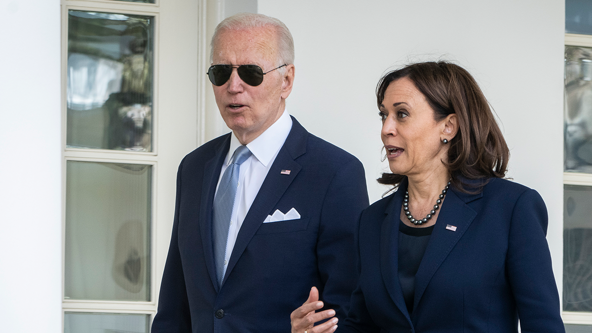 Kamala Harris donor calls